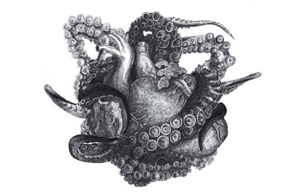 Кракен зеркало krk market com